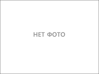 Груша класична на сіянці