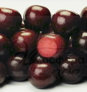 Диплоидная алыча(слива) Блек Даймонд 